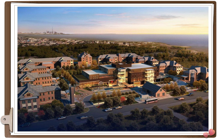 고컬2014-11-12 Aimage10.jpg