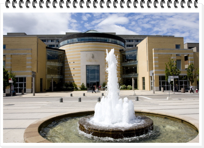 고캐2014-11-12 A YUImage3.jpg