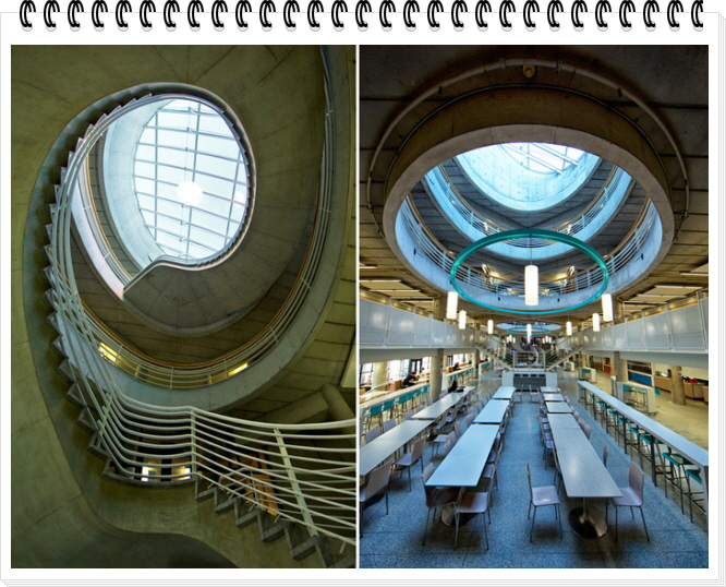 고캐2014-11-12 A YUImage8.jpg