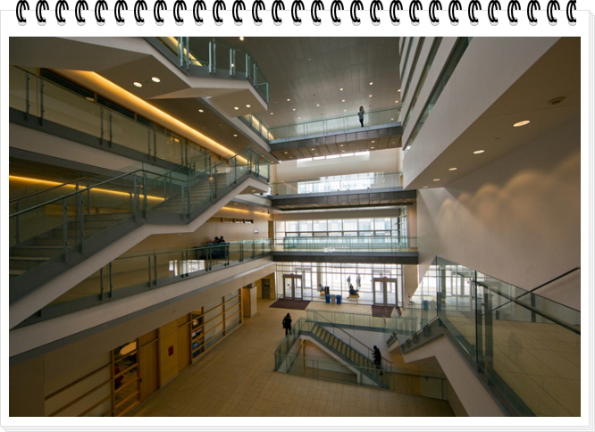 고캐2014-11-12 A YUImage6.jpg