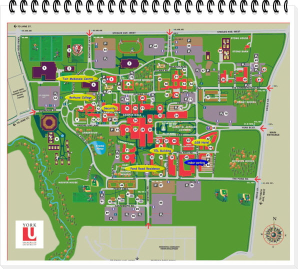 고캐2014-11-12 A YUImage2.jpg