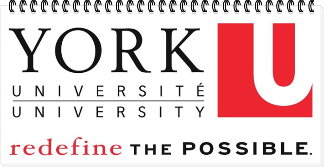 고캐2014-11-12 A YUImage1.jpg