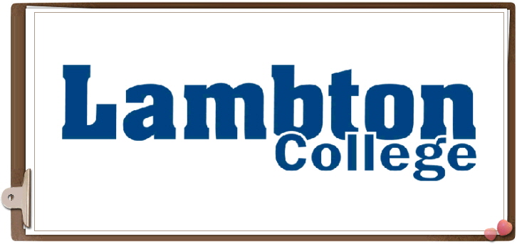 고컬2014-11-13 A Lt Image1.jpg