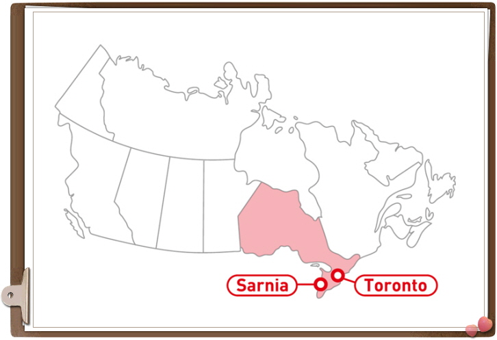고컬2014-11-13 A Lt Image2.jpg