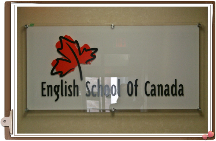 고컬2014-11-20 AImage4.JPG