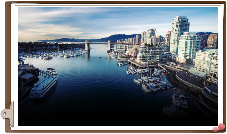 고컬2014-11-20 AImage1.jpg