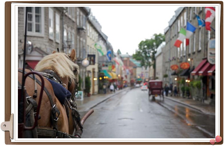 고컬2014-11-20 AImage2.jpg