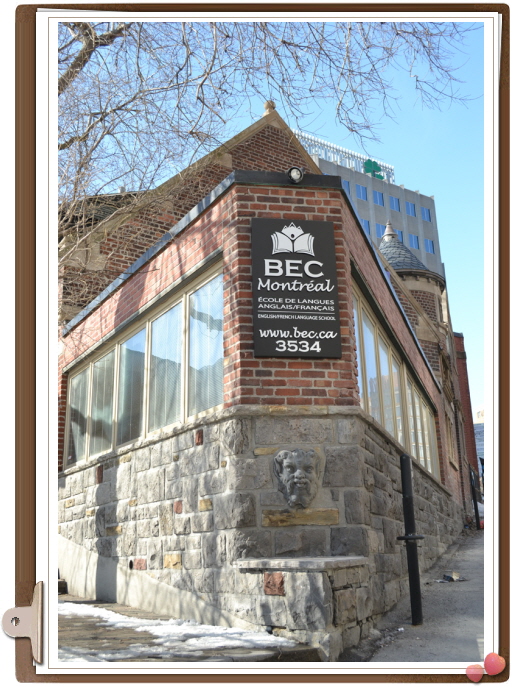 고컬2014-12-3 AAImage3.JPG